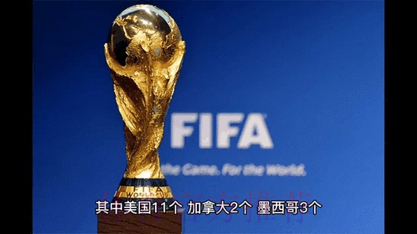 2026年世界杯竞猜实时动态全景解析